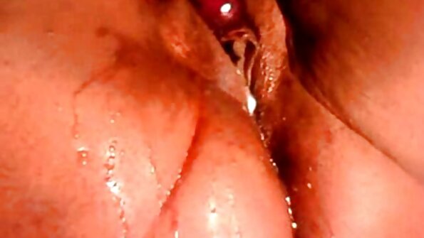 Sexet medrejsende bliver kneppet suster sex porn i kusse.