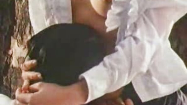 Wench påtog sig grundigt at sutte brezzer seks penis.
